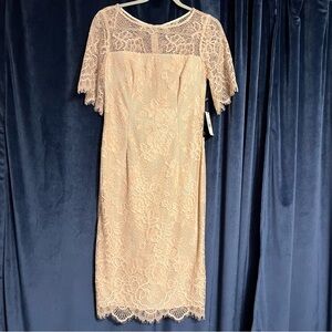 Adrianna Papell Maria Lace Sheath Dress
